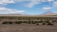 Altiplano in Peru auf 4.400m