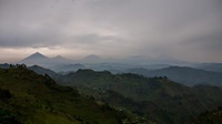 Blick auf die Virunga-Vulkane (Uganda / Kongo)