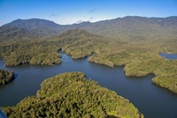Rainforest bei Cairns