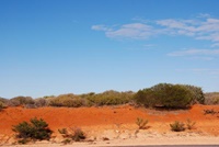 Typische australische Landschaft