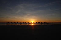 Kamelreiten am Cable Beach in Broome