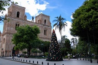 Tannenbaum vor der neuen Kathedrale in Cuenca