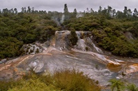 Rotorua Thermal Wonderland