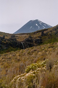 Vulkan Ngauruhoe im Tongariro NP