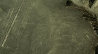 Nazca-Linien - Kolibri