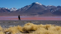 Laguna Colorada, Nationalpark Eduardo Avaroa, Bolivien